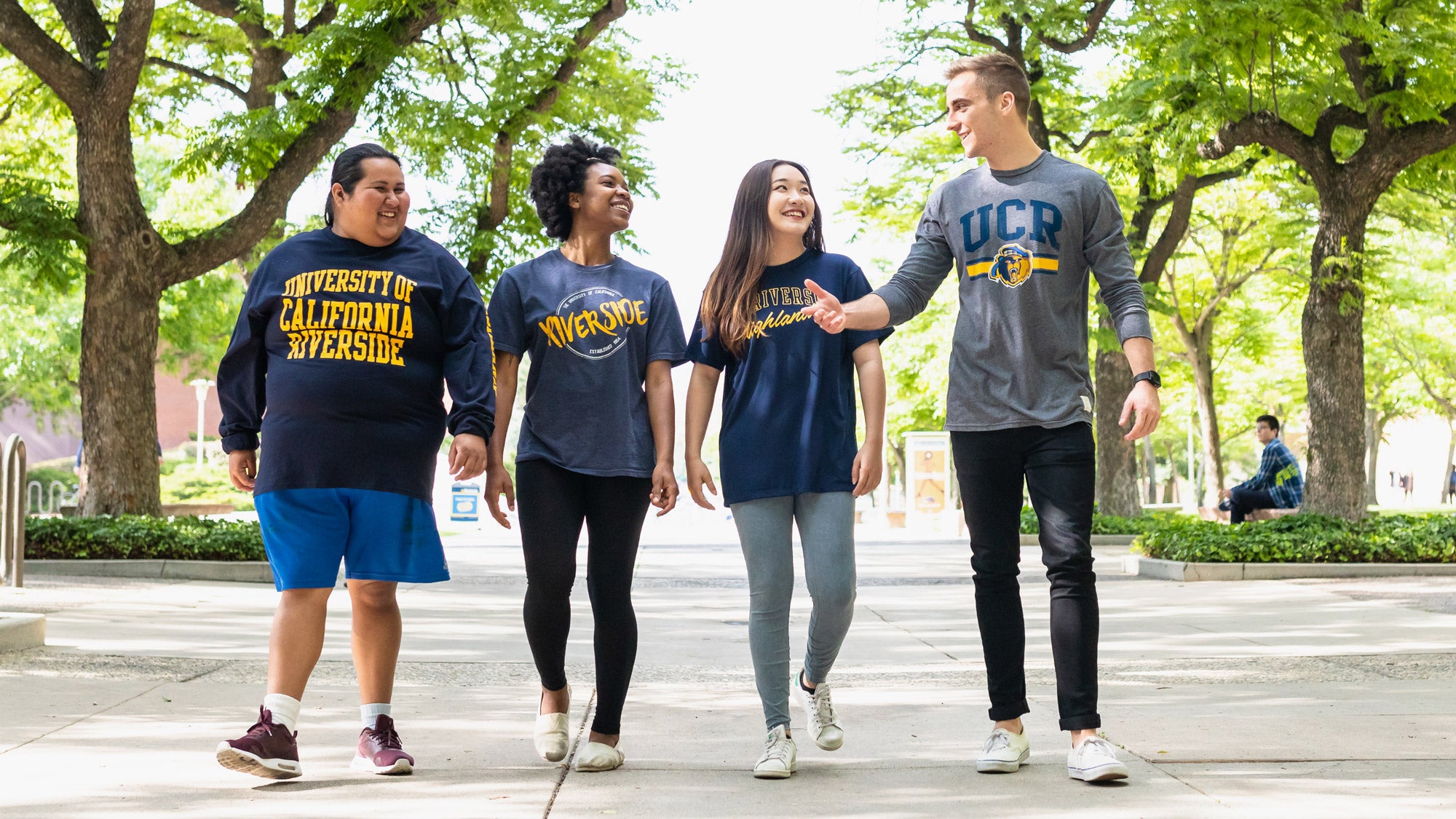 Four smilng students, wearing UCR t-shirts, walk along a tree-lined path of the UCR campus.
