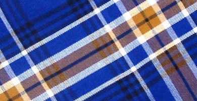 UC Riverside has a registered official tartan which features the school colors of blue and gold with white and black accents.